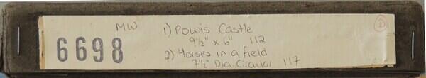 Label (Custom)