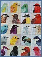 Avian Friends
