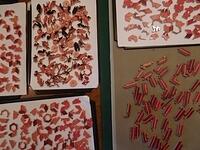 Piece Variety