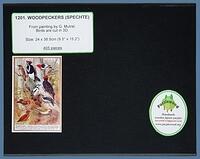 SpecteBoxFB