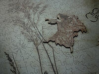 3D-enhanced Fairy, & Spider's Web whimsy perfectly aligned with the image.