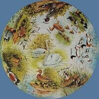 Waterfowl
