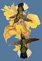 Humdinger, A