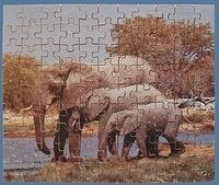 Untitled - Elephants