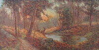 Autumn in the Woods