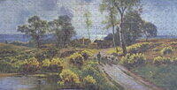 AMONG THE GORSE 2.jpg