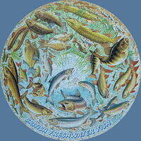 BRITISH FRESHWATER FISHES.jpg