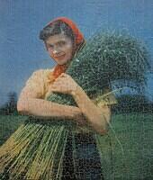 Irish Flax Girl