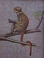 Untitled-Monkey