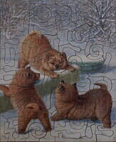 Puppies at Play