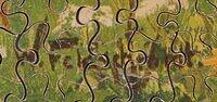 Waving Cornfield (Detail 1).JPG