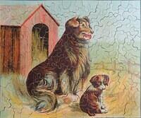 Dogs