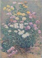 Chrysanthemums