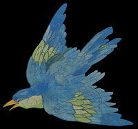Bluebird (black background) 800