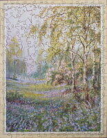 Spring Bluebells