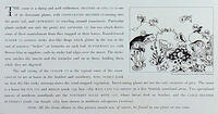 Key to Life on the Moor Shell Guide Educational Poster