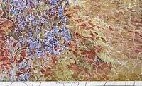 A Forest Glade (Detail 3).JPG