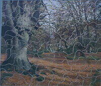 A FOREST GLADE.jpg
