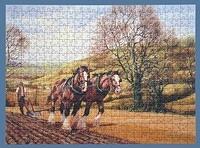 Ploughing in Spring