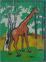 Giraffe