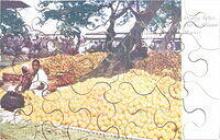 Orange Seller.JPG