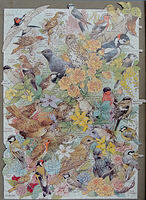 Garden Birds