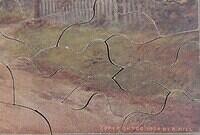 Detail 1