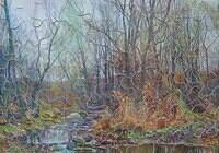 Birkshire Brook in Autumn, A