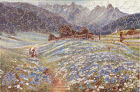 June in the Austrian Tyrol