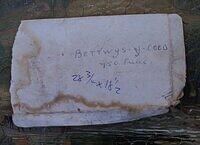BETWS-Y-COED (LABEL).JPG