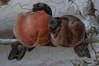 Bird Studies (Detail 1).JPG