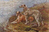 In The Highlands
