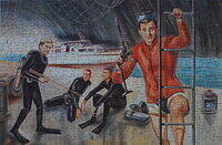 THE FROGMEN AFFAIR .jpg