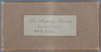 Sleeping Beauty (Box 1)