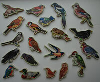 BW1 80pc Bird Watching 20 cut-out birds