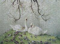Spring Cover.JPG