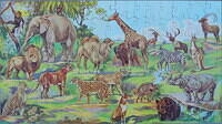 Jungle