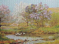Untitled-Duck Pond