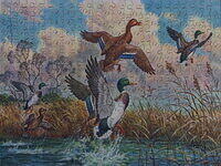Untitled-Ducks Taking Off