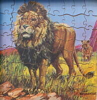 Lion