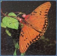 521. Gulf Fritillary, The