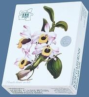 543DNBoxBl
