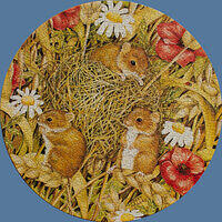 13702 mice.jpg