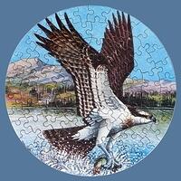 Osprey
