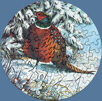 Pheasant.jpg
