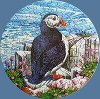 Puffin