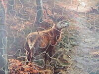 Sunlit Glade (Detail)