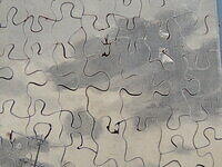 Convoyed and Confident (Detail 3).JPG