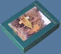 Box 2 (Custom)
