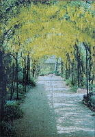Laburnum Walk, The
